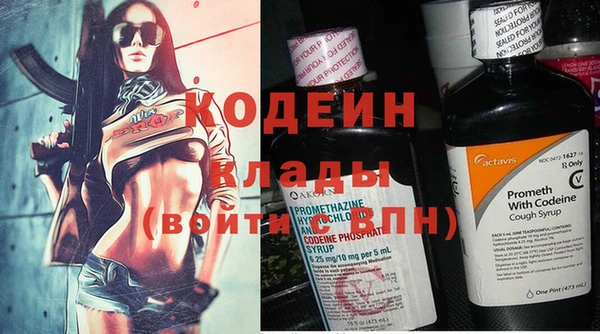 прущие крисы Новозыбков