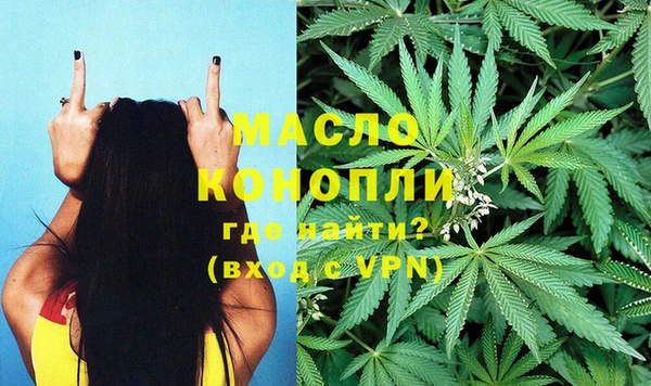 прущие крисы Новозыбков
