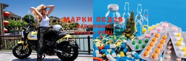 прущие крисы Новозыбков