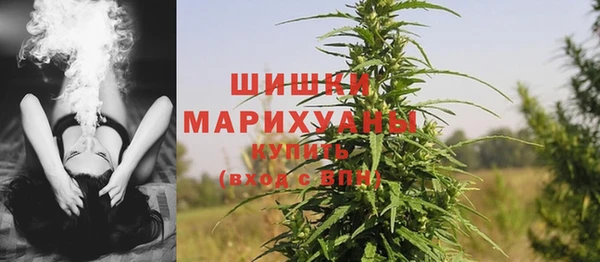 прущие крисы Новозыбков